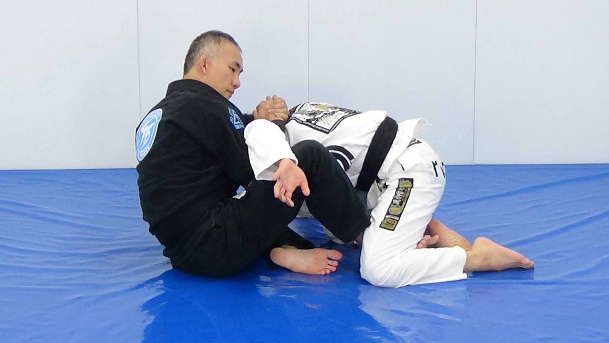 早川光由「バタフライガード・アタック」 | トライフォース柔術