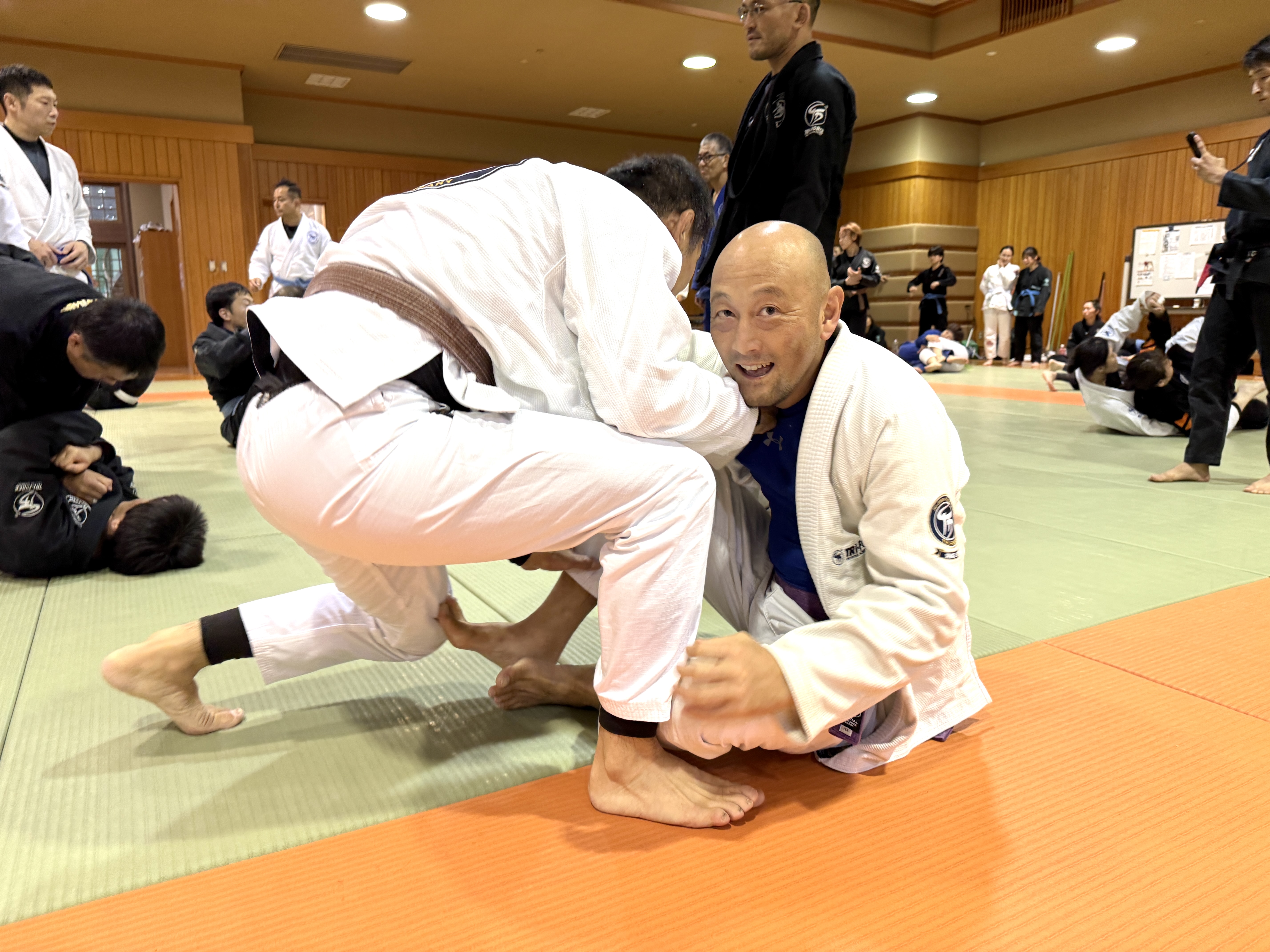 申込受付スタート】トライフォースキャンプ2026開催！ | トライ