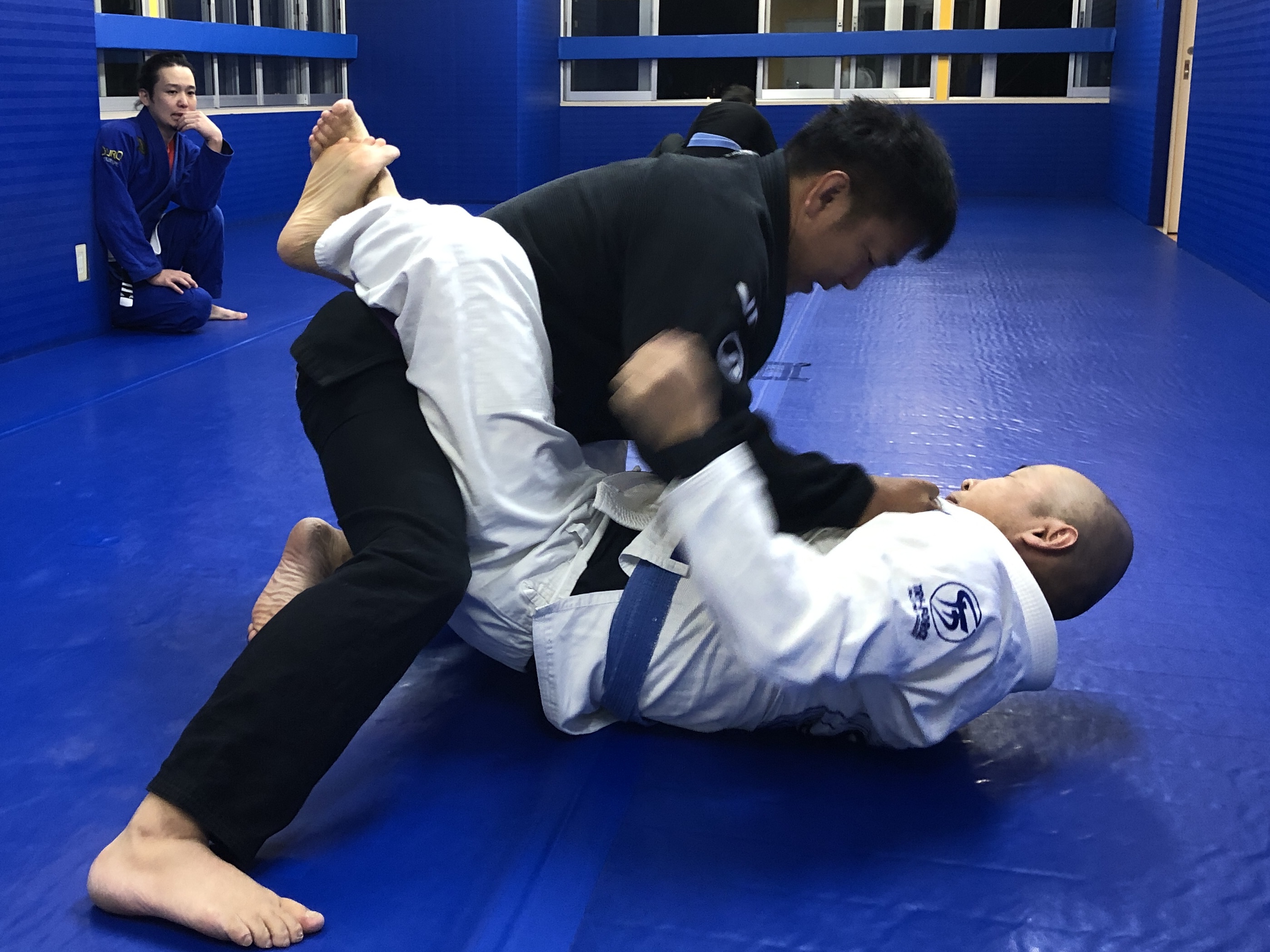 休館日 | トライフォース柔術アカデミー Tri-force BJJ