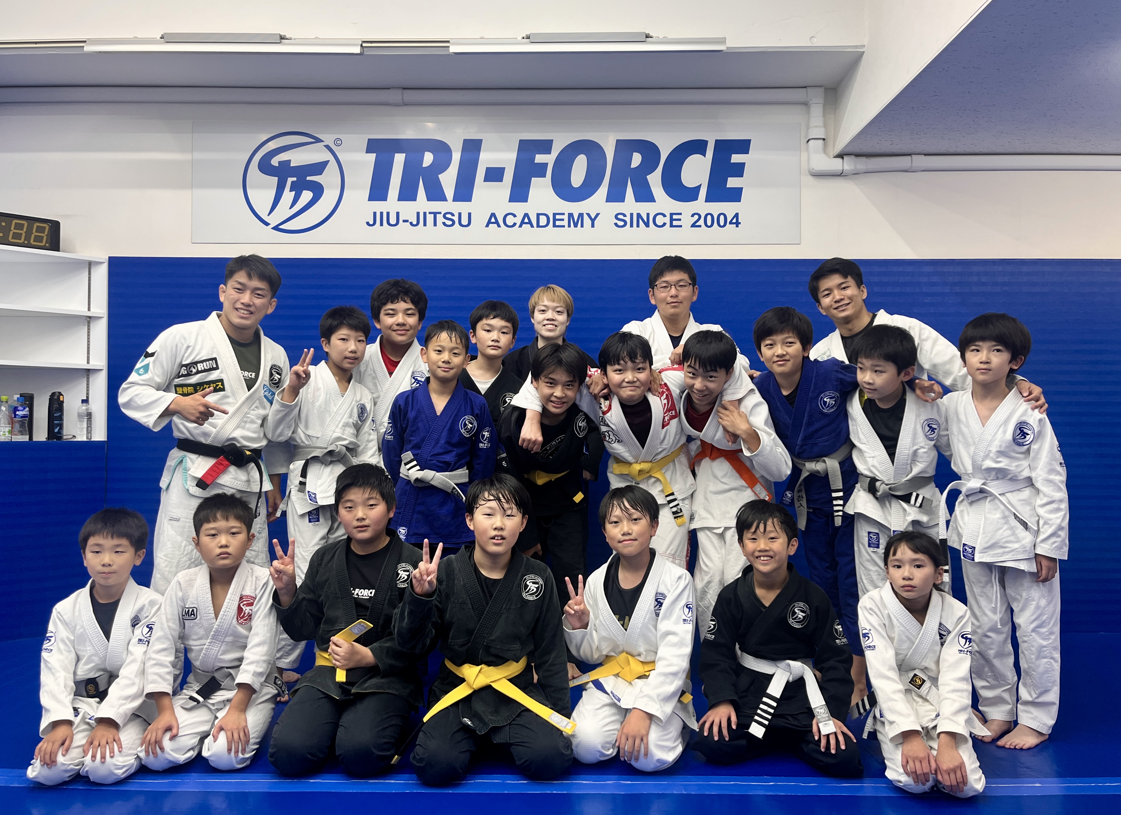 ザ BJJフォーミュラ柔術4DVDセット ザ BJJフォーミュラ柔術4DVDセット お取り寄せ注文
